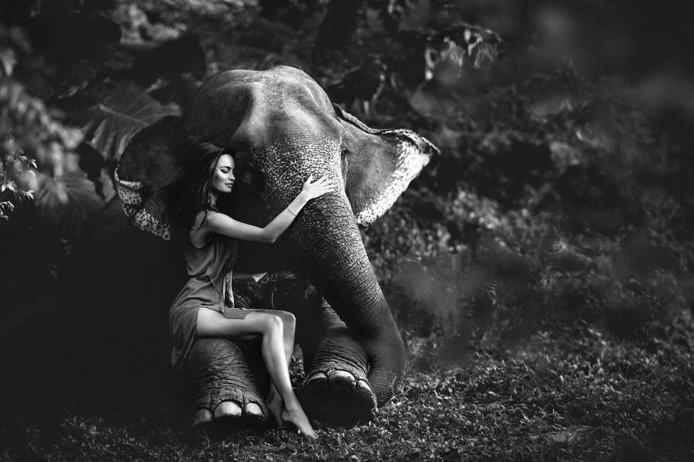 Волшебное приключение Эвы