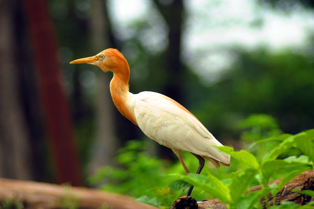 WHEN THE LENS MEETS THE ERGET EYS