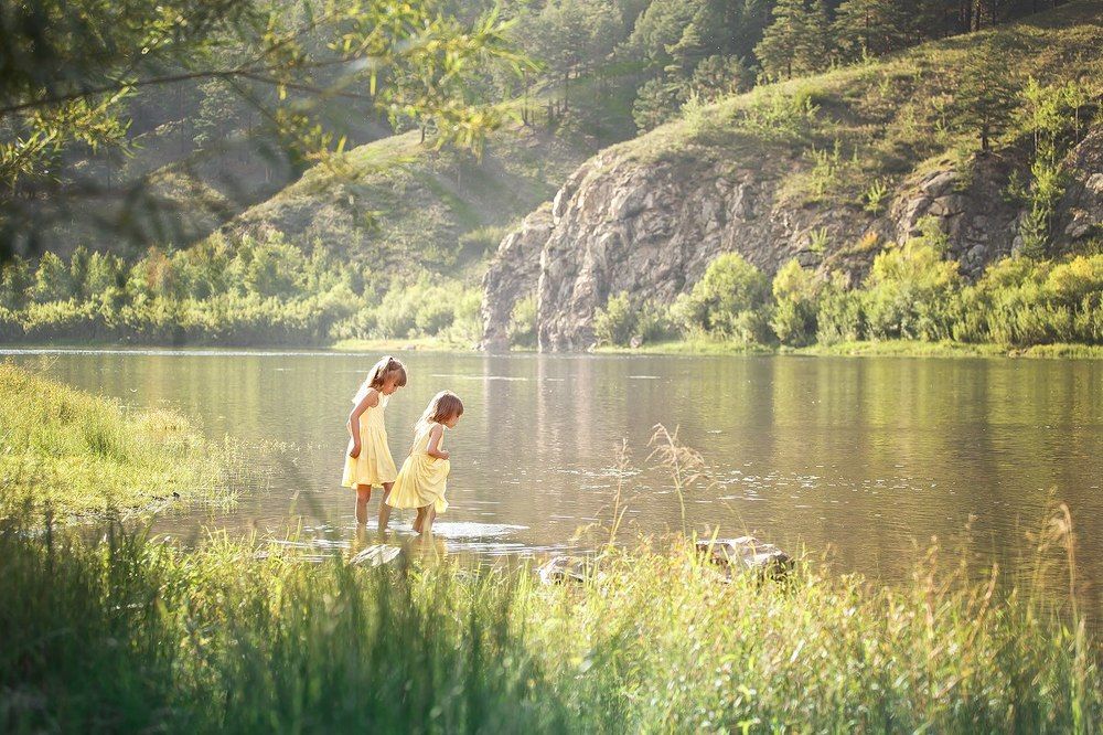 Этот зелёный мир