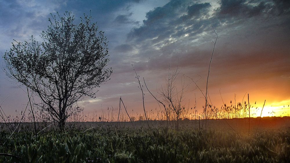 Photograph by Вера