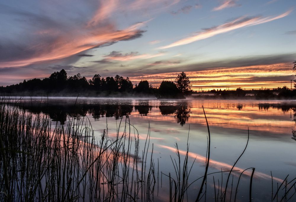 Photograph by Александр Курылёв
