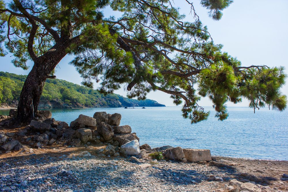 Photograph by Анна Кесарева