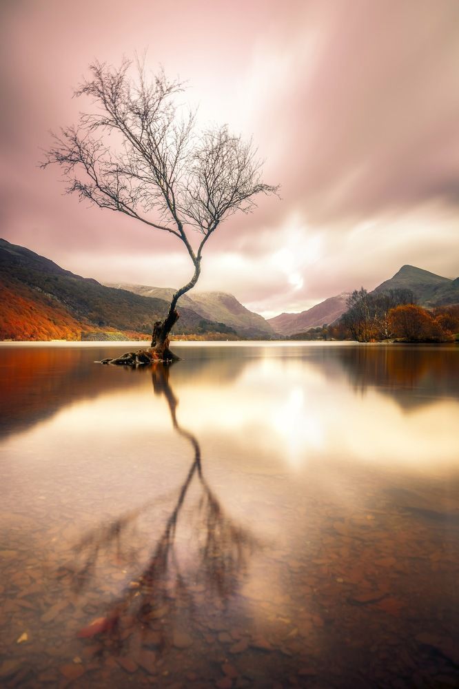 Photograph by Selaru Ovidiu