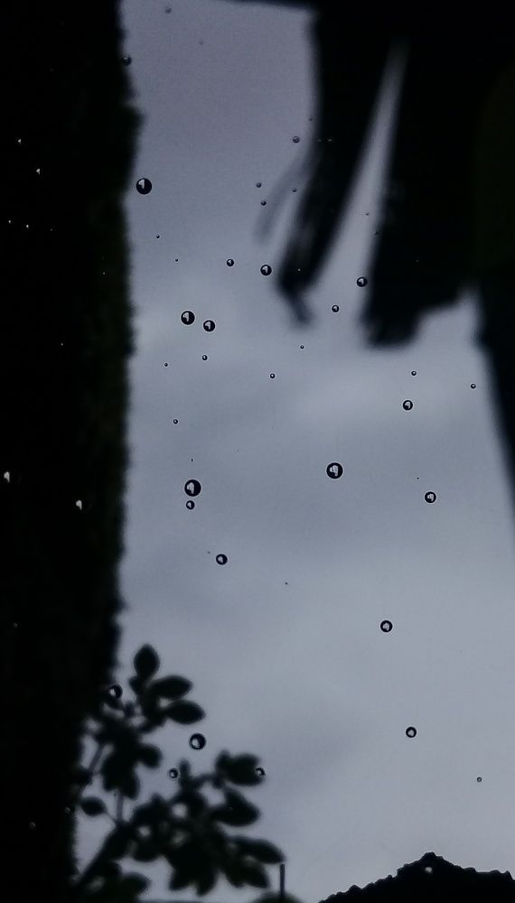 Monsoon Drops...