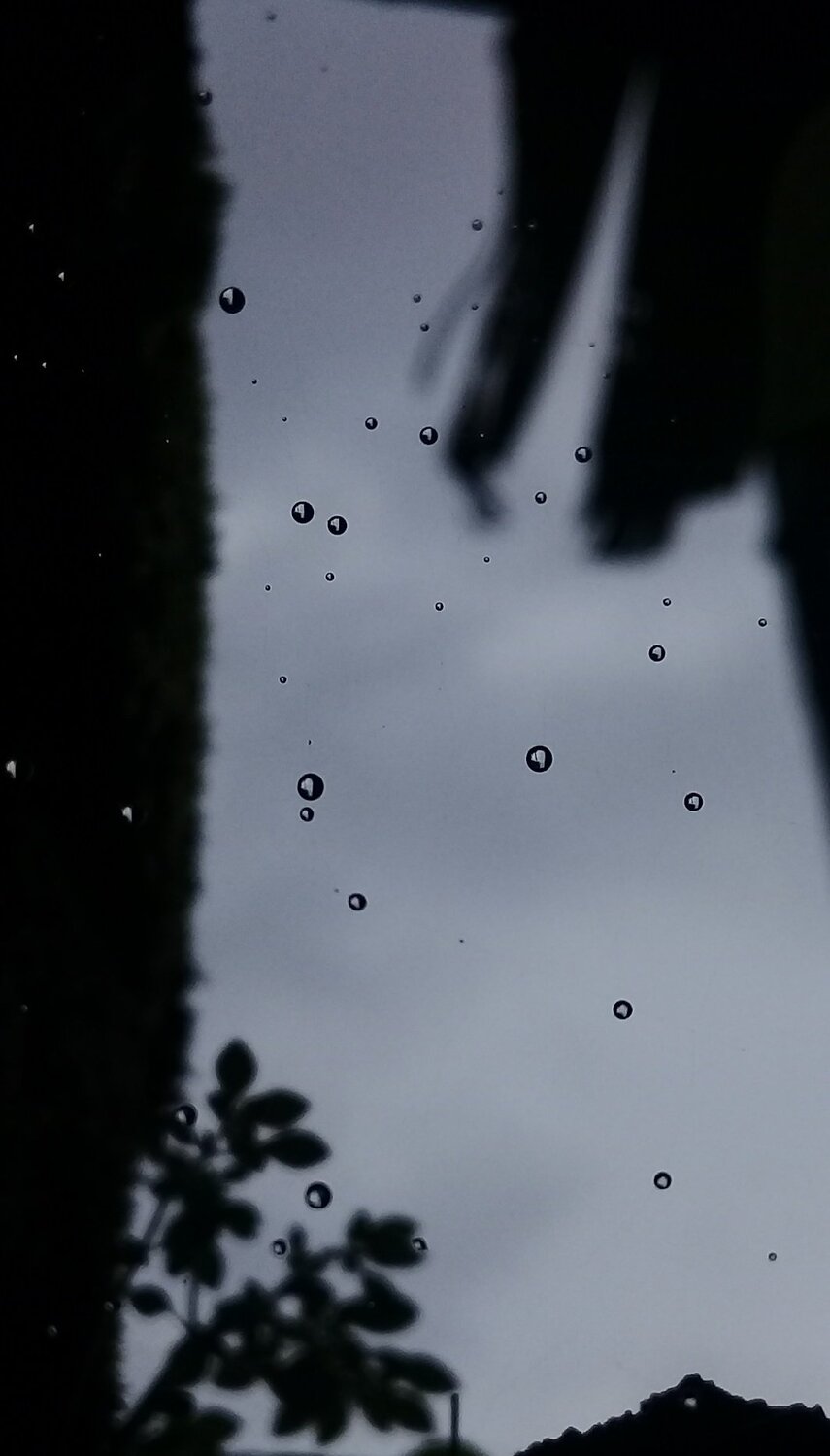 Monsoon Drops...