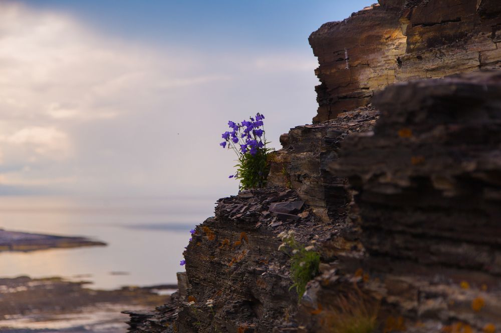 Photograph by Виктория Зайкова