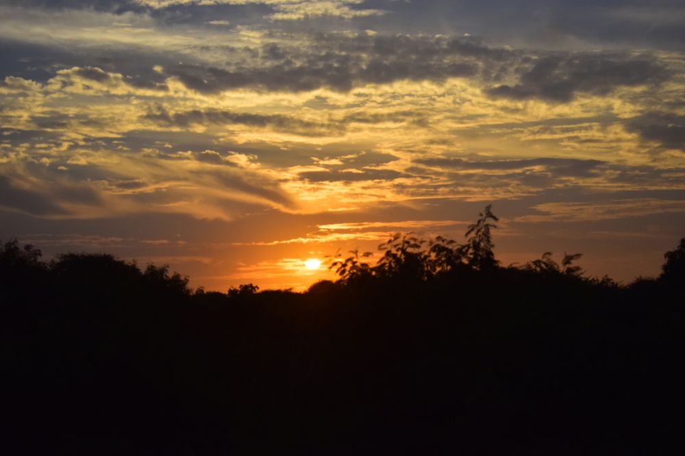 Golden sunset