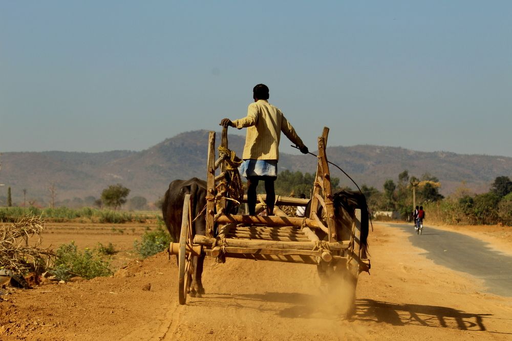 Rural transport, Street photos