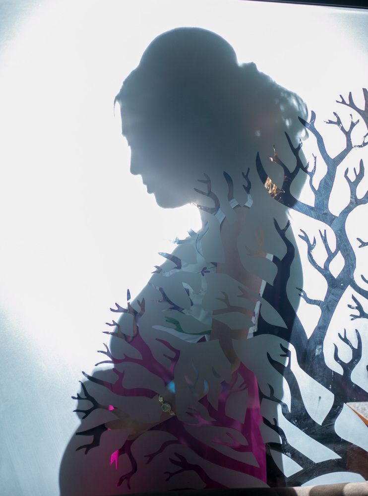 Древо жизни