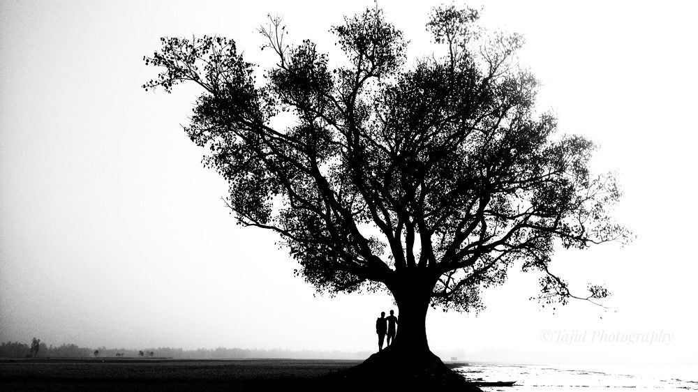 তারা দাড়িয়ে দিগন্তে