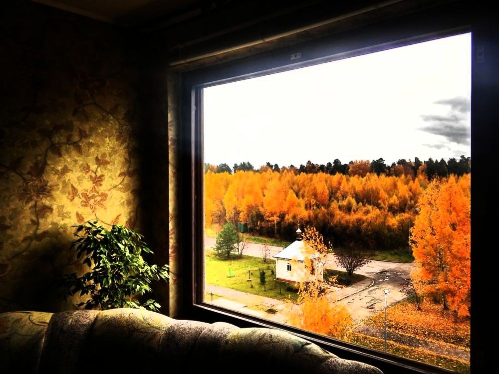 Окно в золотую осень