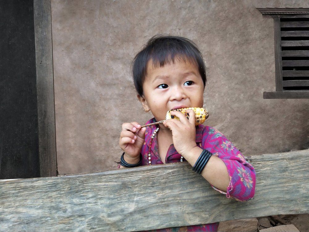 Cuteness Overload over innocent Face