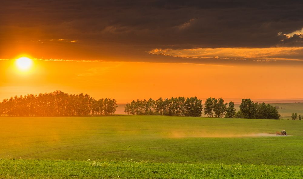 Знойное лето