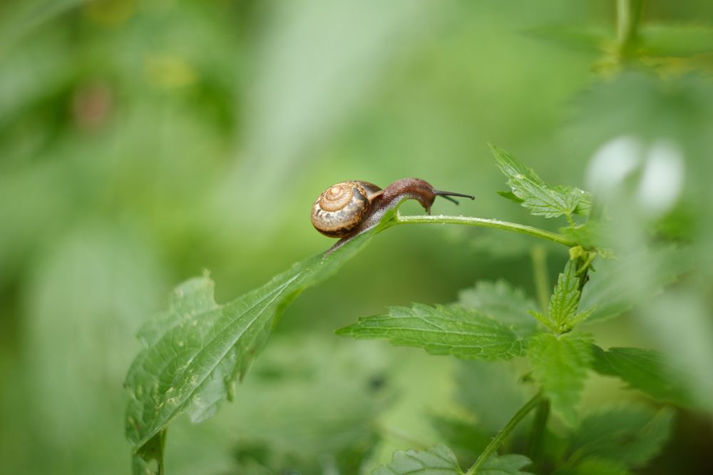 Photograph by Анна Миллер