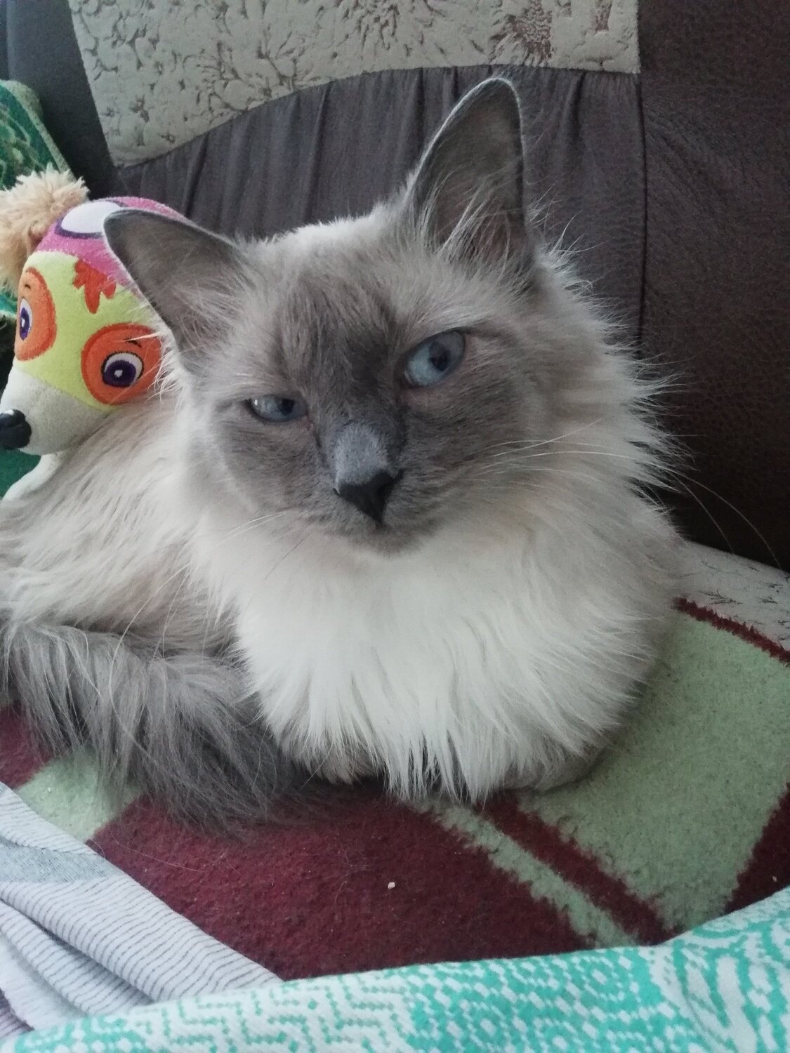 Степан