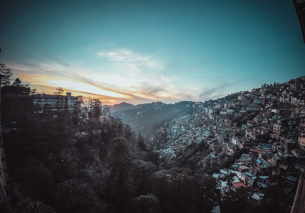 Shimla