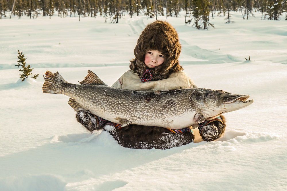 Дима, сын оленевода.