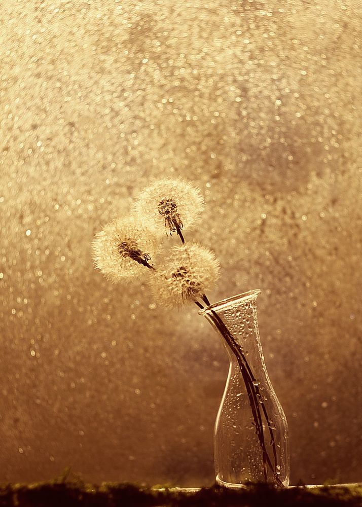 Пизанская ваза