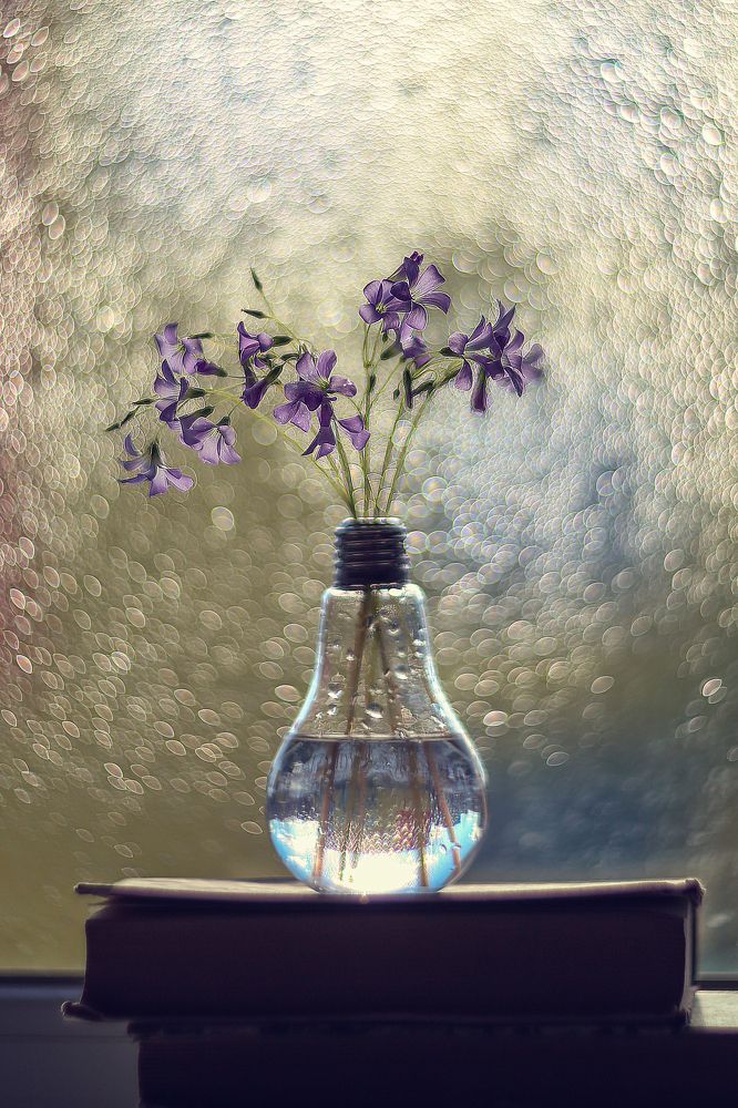 Photograph by Нурият Аллаярова