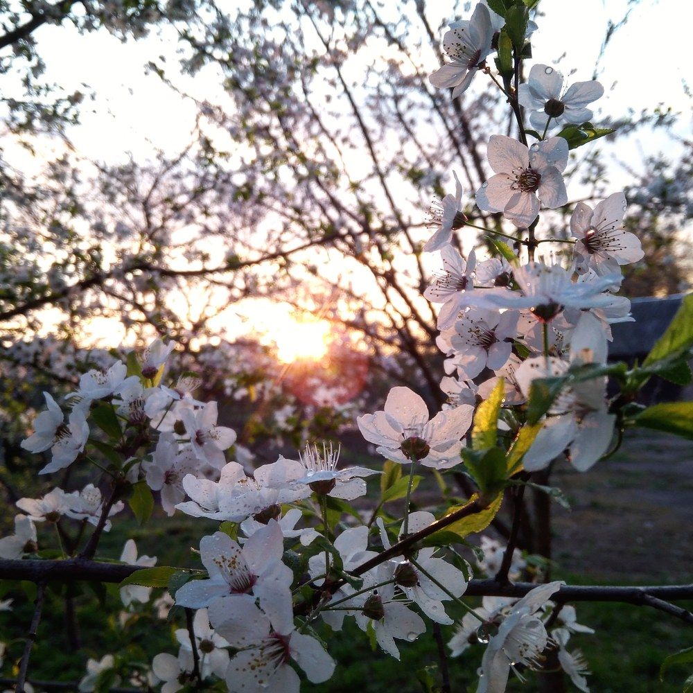Photograph by Віка