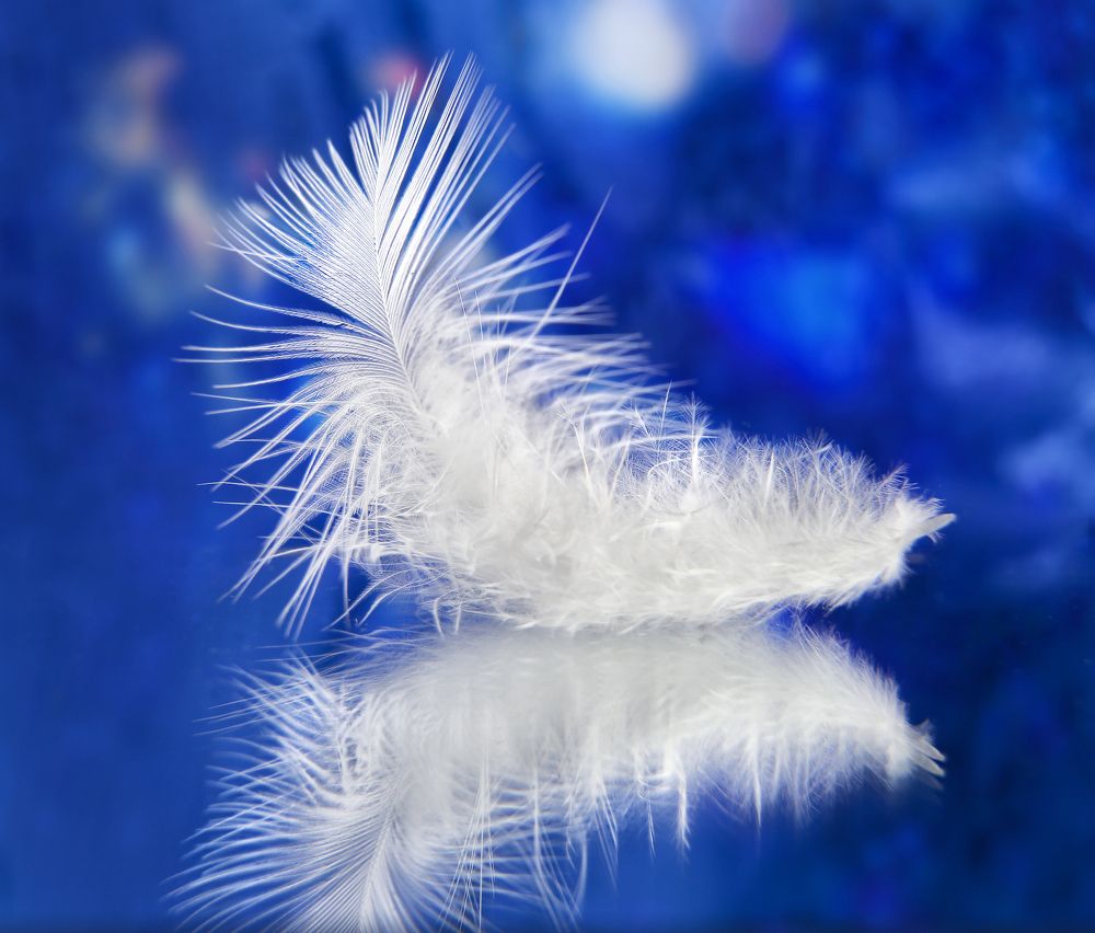 Photograph by Виктория Зайкова