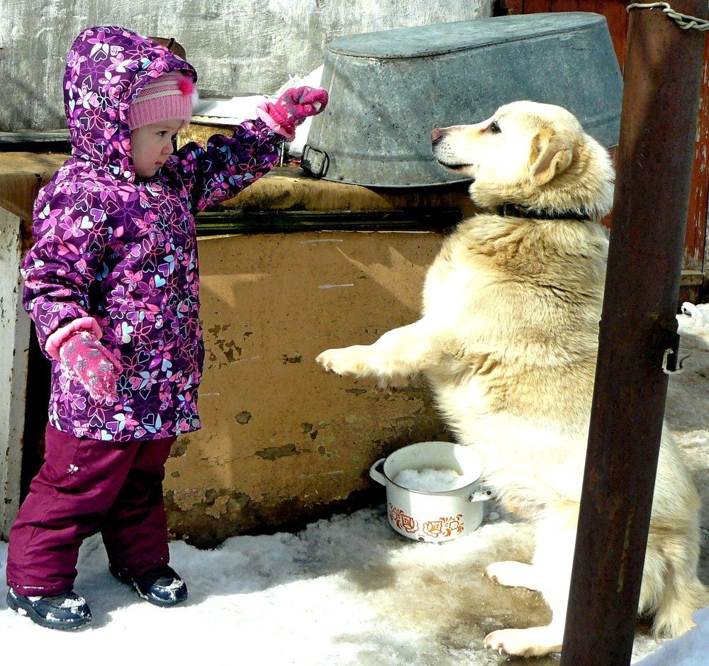 Photograph by леонид натапов