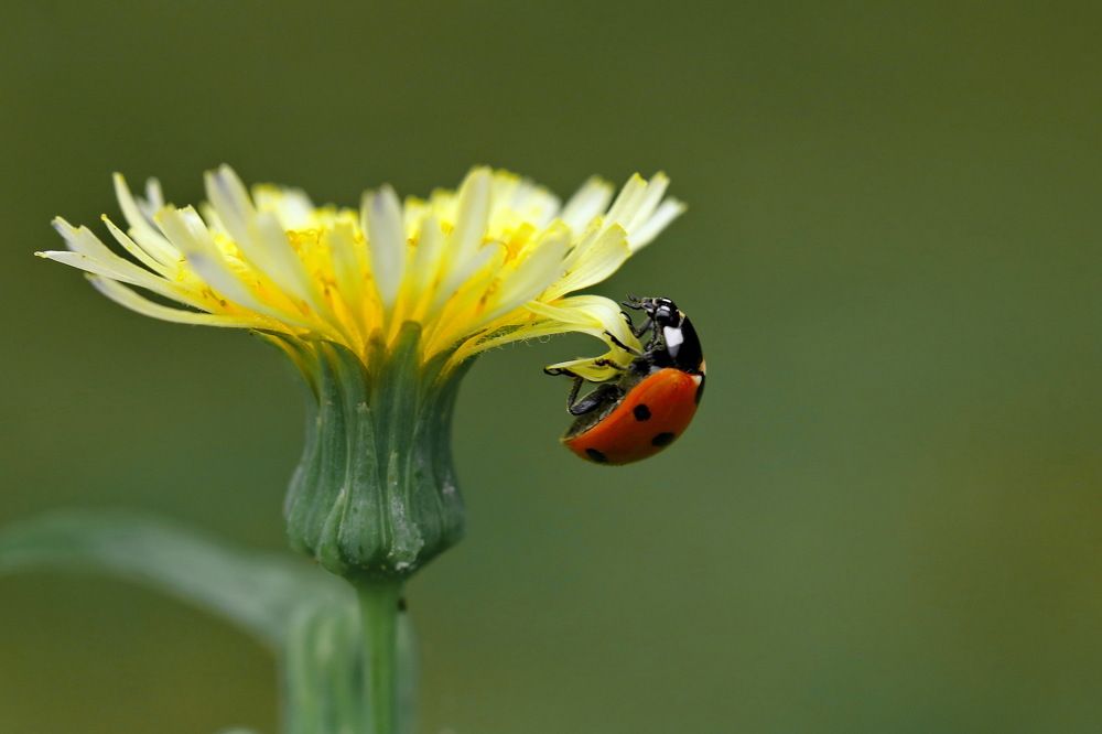 Photograph by Игорь Осипов
