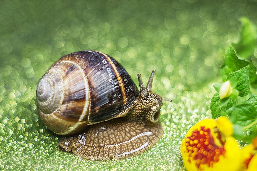 Photograph by Нурият Аллаярова