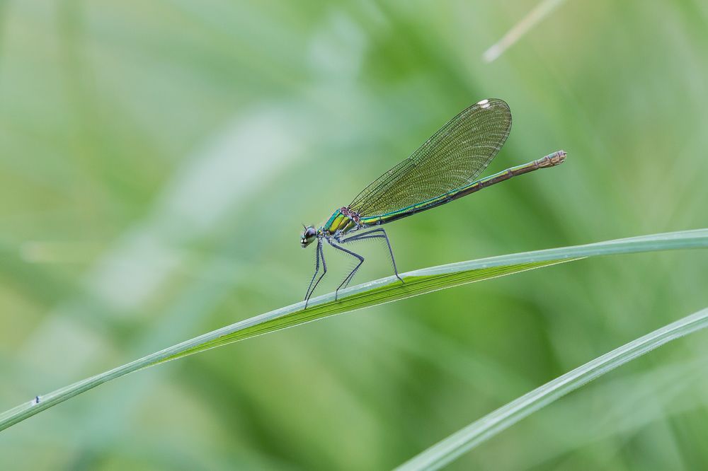 Photograph by Роман Дергунов