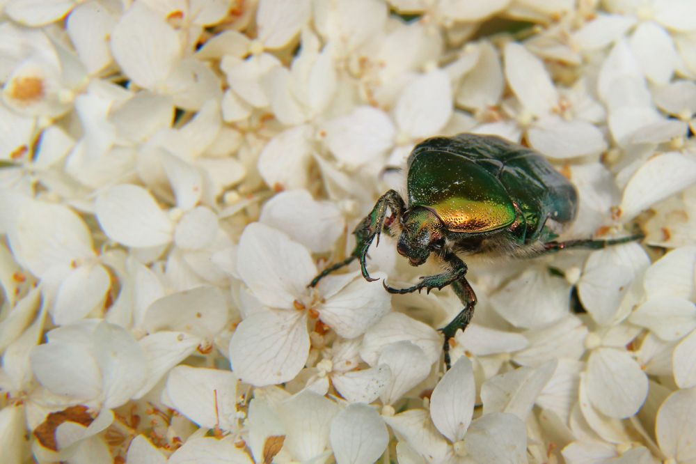 Photograph by Виктория Зайкова