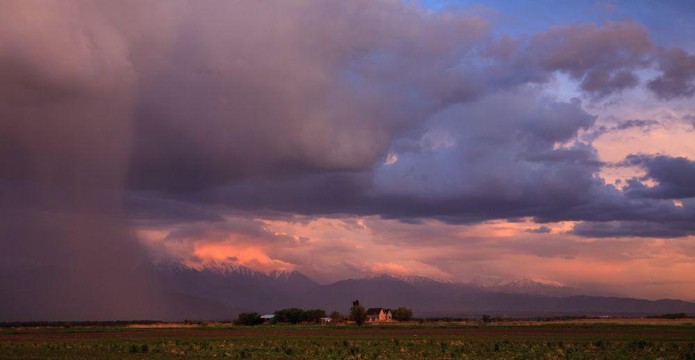 Весенний ливень