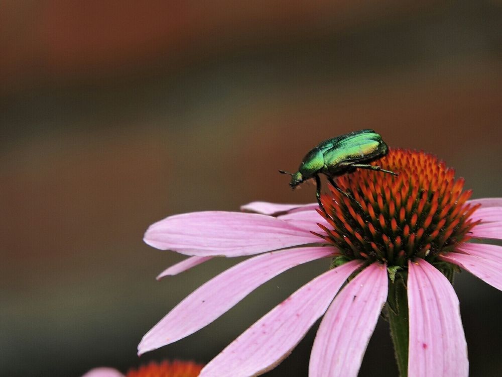 Photograph by Анна Панкратова