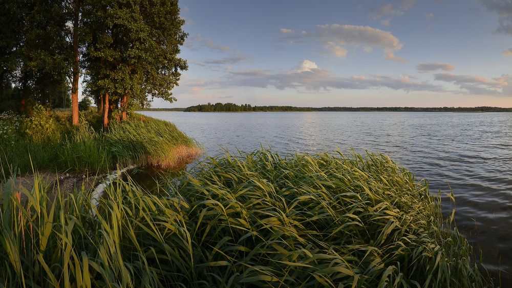 Вечерняя тишина