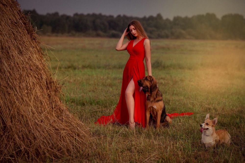 Летний день