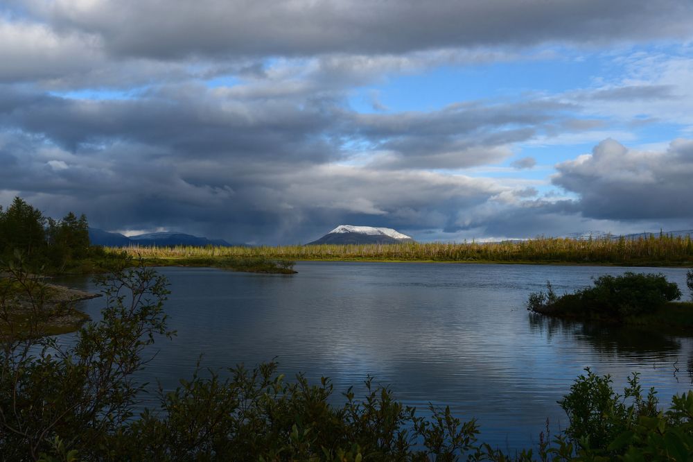 "  "сундук" с белой крышкой "