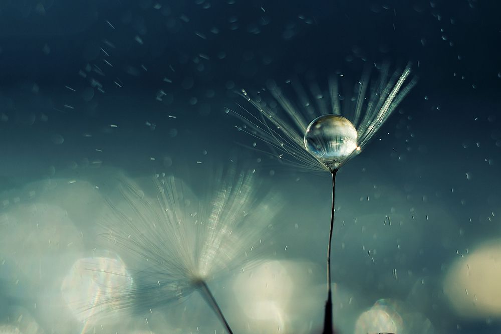 Photograph by Нурият Аллаярова