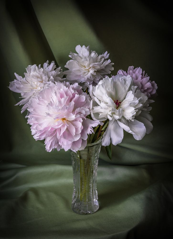 Букетик пионов