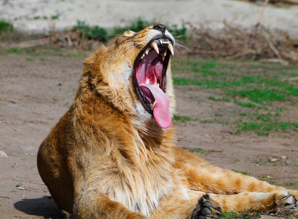 Photograph by Александр Смирнов