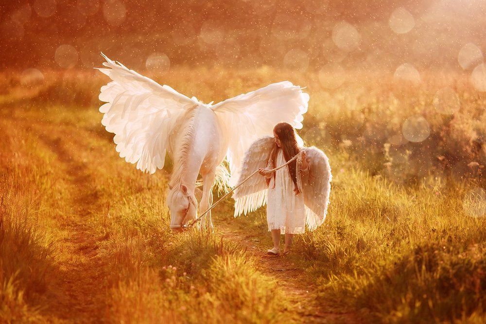 Photograph by Юлия Шварцбурд