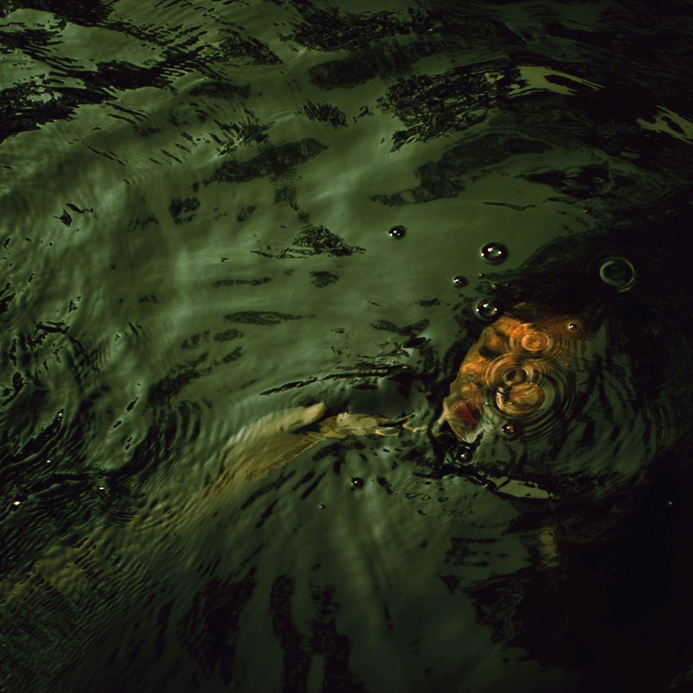 Let them not weep Let them know that I'm glad to go