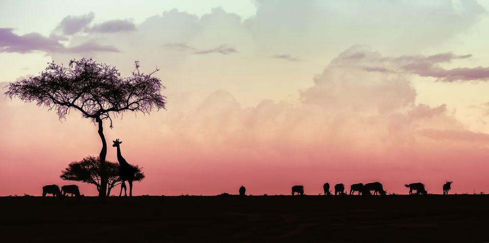 Breakfast at Twilight