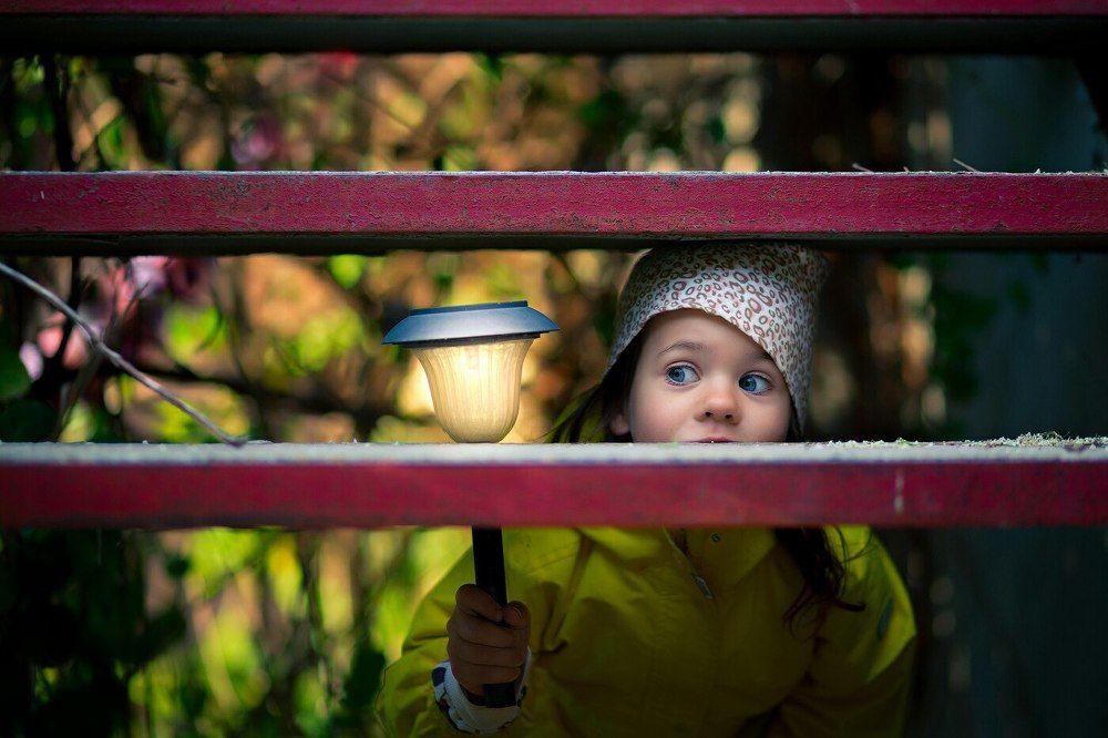 Photograph by Алексей Загрядский