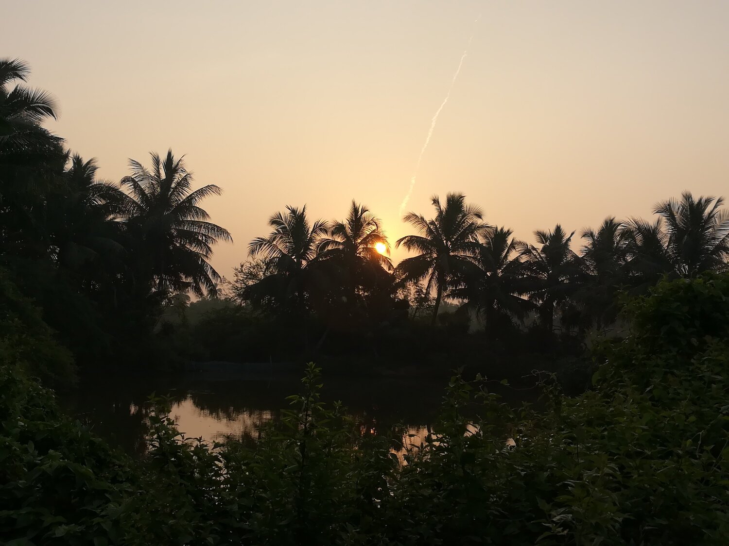 Sunrise