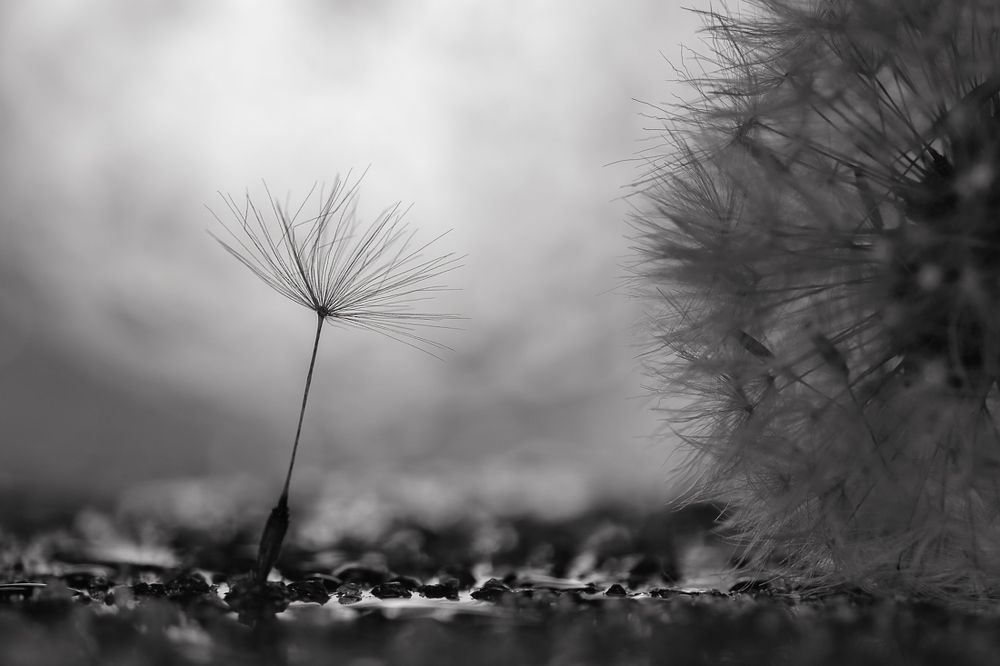 Назад в будущее