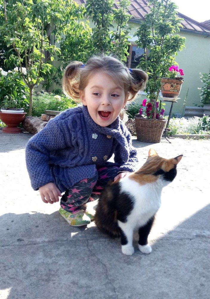 Здесь еще и котята!!!!!