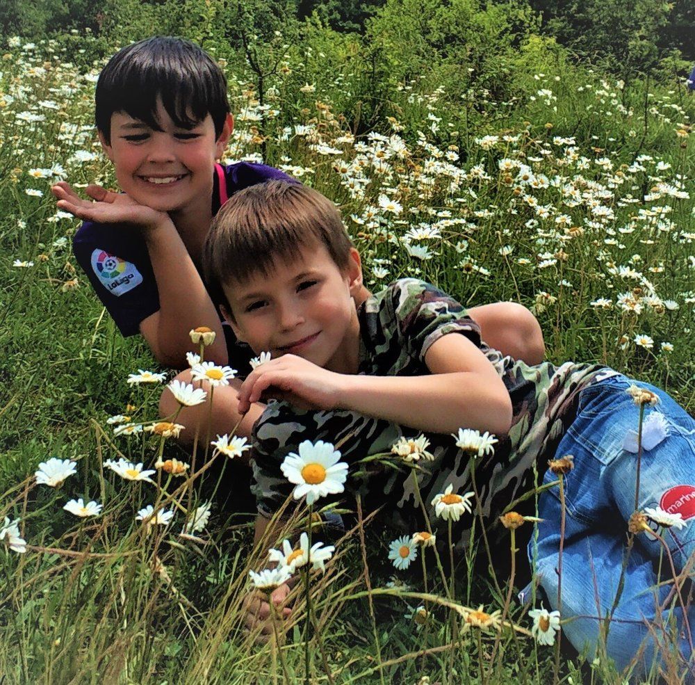 в ромашковом поле