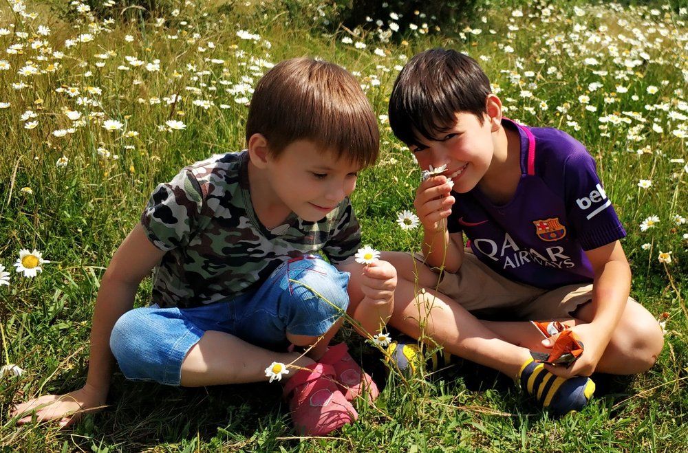 в ромашковом поле