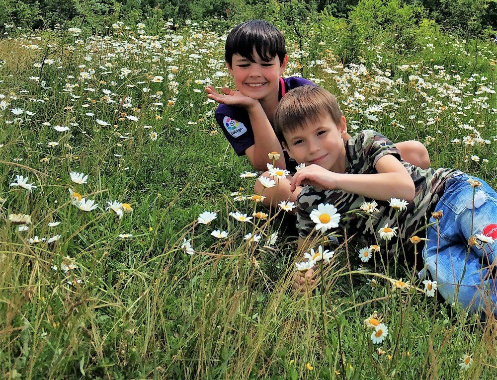 в ромашковом поле
