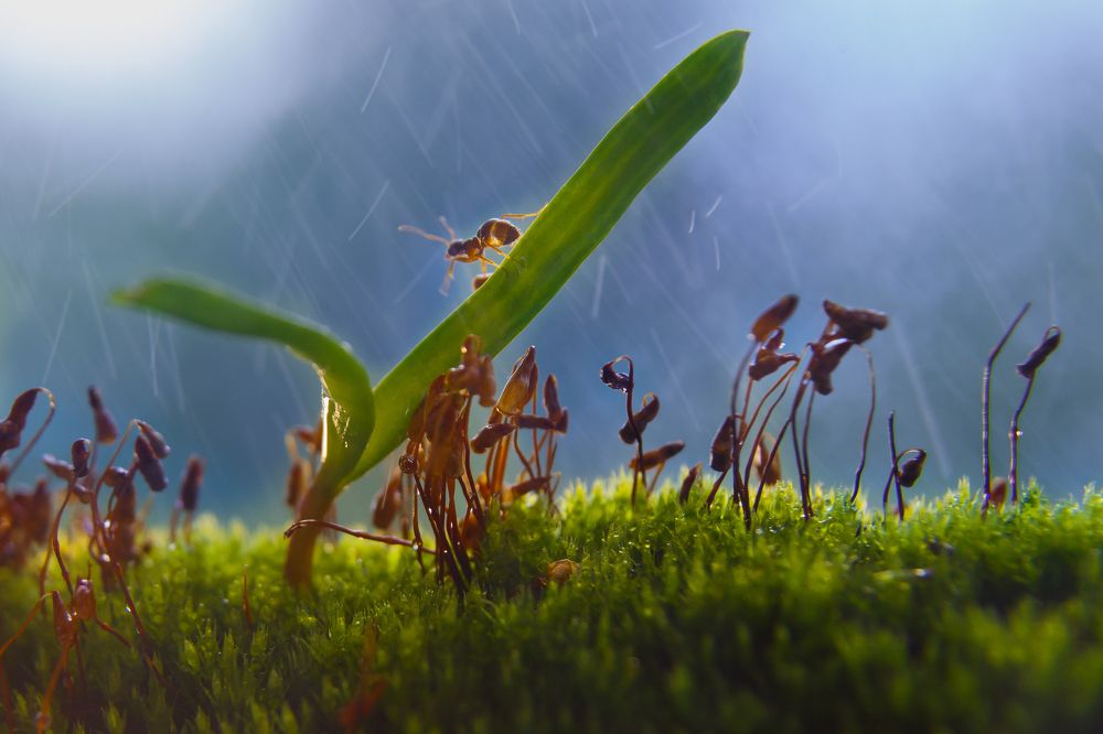 Photograph by Виктория Зайкова