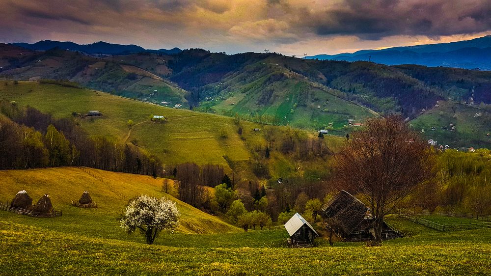 Somewhere far away...